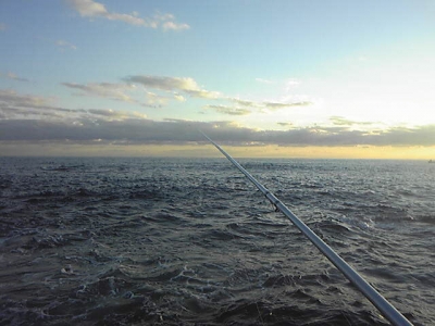 131130_160118.jpg