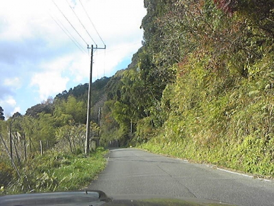 131207_121128.jpg
