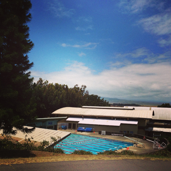 写真 25-06-13 7 11 28 AM