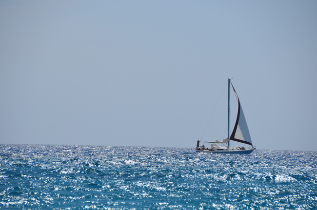 DSC_5417.jpg