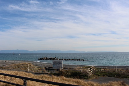 IMG_4090.jpg