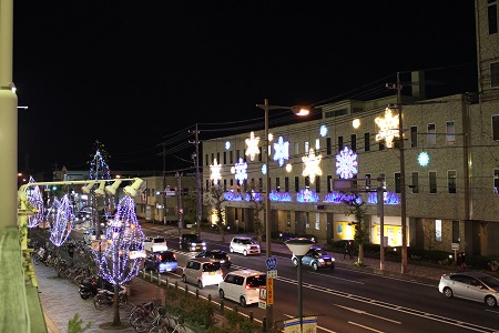 IMG_4225.jpg