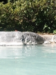 DSC_0514.jpg