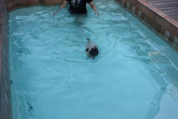 20110920-233101-51401500.gif