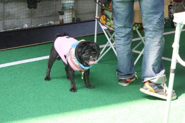 IMG_8526でべ君