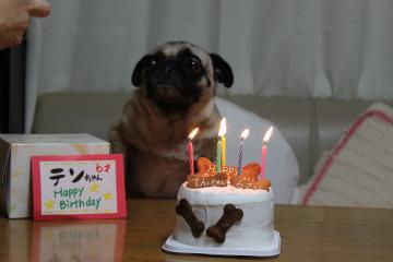 6歳