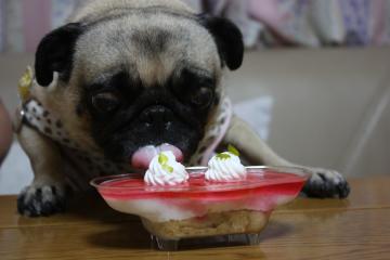 5歳