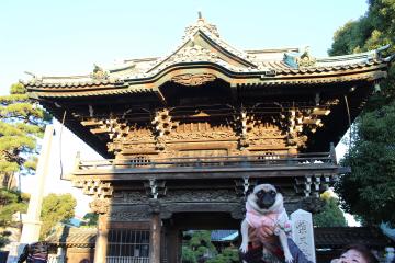 IMG_1352_convert_20130311232311.jpg