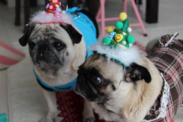 IMG_1365_convert_20130311232707.jpg