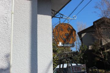 IMG_1373_convert_20130411232227.jpg