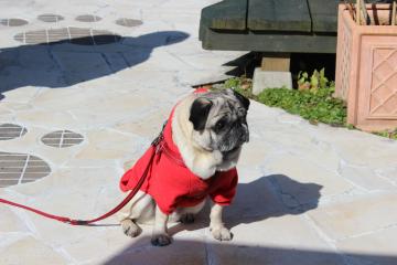 IMG_1378_convert_20130411232520.jpg