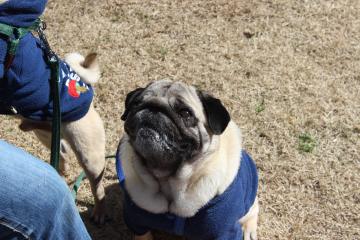 IMG_1379_convert_20130411232618.jpg