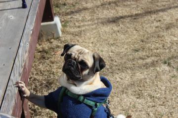 IMG_1380_convert_20130411232709.jpg