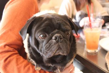 IMG_1385_convert_20130411232919.jpg