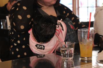 IMG_1387_convert_20130411233007.jpg