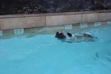 IMG_1388_convert_20130411233048.jpg