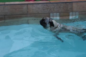 IMG_1392_convert_20130411233132.jpg