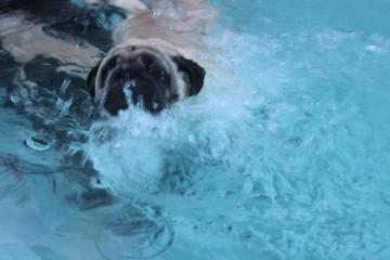 IMG_1393_convert_20130411233224.jpg