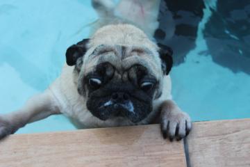 IMG_1395_convert_20130411233306.jpg