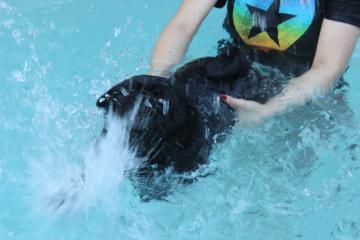 IMG_1398_convert_20130411233442.jpg