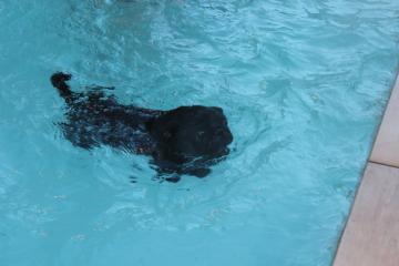 IMG_1414_convert_20130411233724.jpg