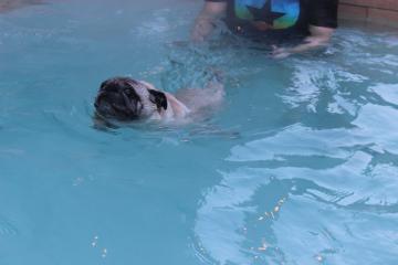 IMG_1444_convert_20130412231257.jpg