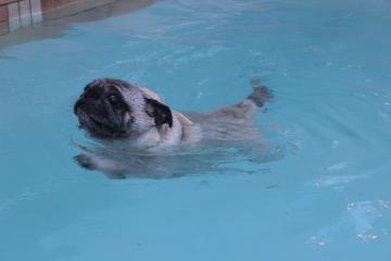 IMG_1447_convert_20130412231332.jpg