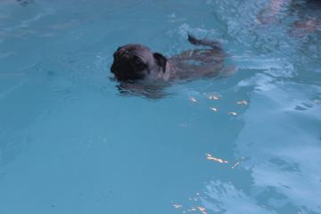 IMG_1448_convert_20130412231416.jpg