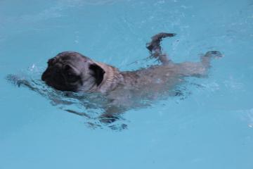 IMG_1450_convert_20130412231526.jpg