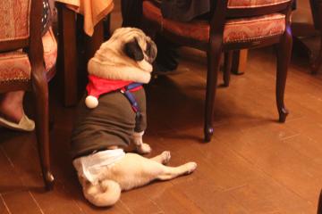 IMG_1470_convert_20130412232315.jpg