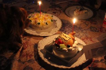 IMG_1477_convert_20130412232441.jpg