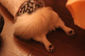 IMG_1480_convert_20130412232525.jpg