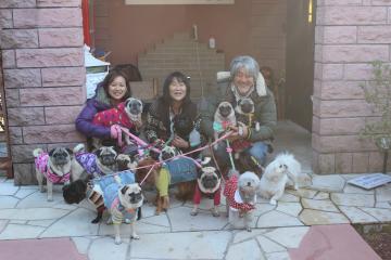 IMG_1495_convert_20130412232603.jpg