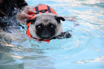 IMG_2624_convert_20110920225152.jpg