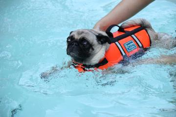 IMG_2637_convert_20110920225249.jpg
