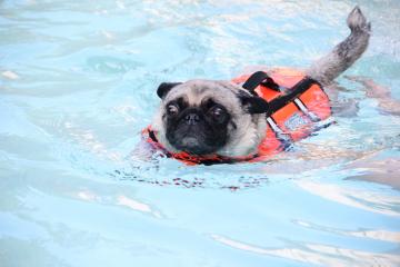 IMG_2648_convert_20110920225408.jpg