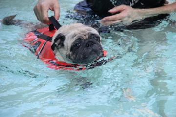 IMG_2674_convert_20110920225614.jpg