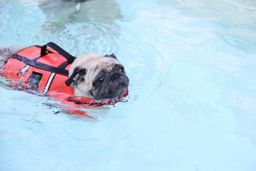 IMG_2677_convert_20110920225652.jpg