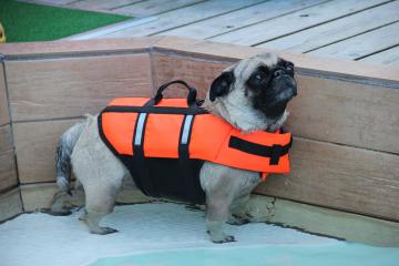 IMG_2782_convert_20110920230527.jpg
