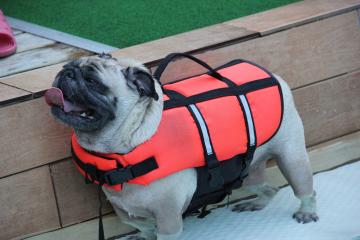 IMG_2783_convert_20110920230630.jpg