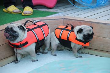 IMG_2784_convert_20110920230732.jpg