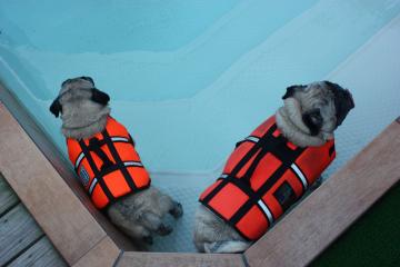 IMG_8292_convert_20110920231414.jpg