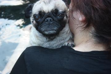IMG_8304_convert_20110920231841.jpg