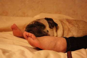 IMG_8312_convert_20110920231916.jpg