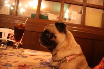 IMG_8330_convert_20110920232531.jpg