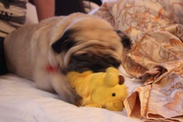 IMG_8359_convert_20110920232820.jpg