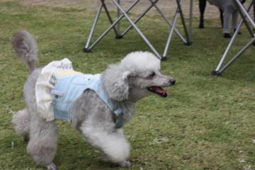 IMG_8399_convert_20110927224139.jpg
