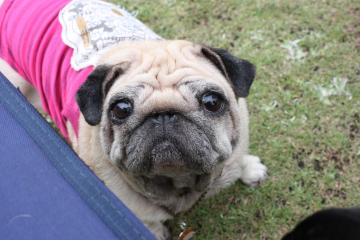 IMG_8400_convert_20110927224218.jpg