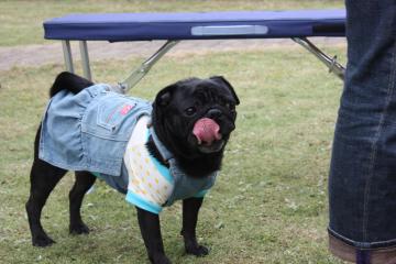 IMG_8402_convert_20110927224247.jpg