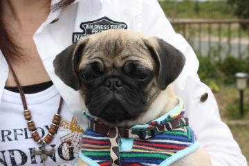 IMG_8404_convert_20110927224315.jpg